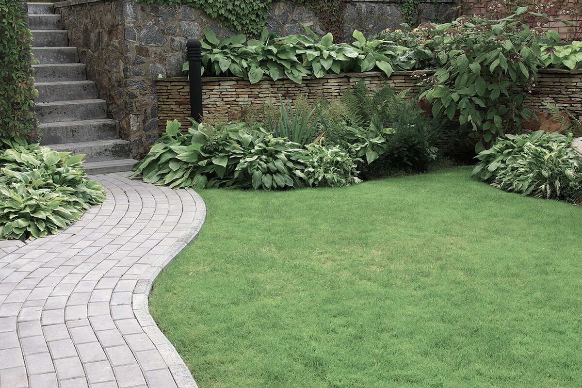 Welcome to Town And Country Landscaping